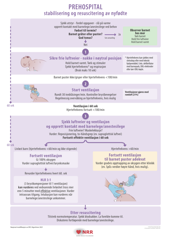 Gjenoppliving av nyfødte Prehospital,veggplakat